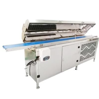 Industrial Chocolate Enrobing Machine with Cooling Tunnel