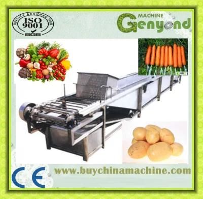 Fruit and Vegetable Processing Line/Machine