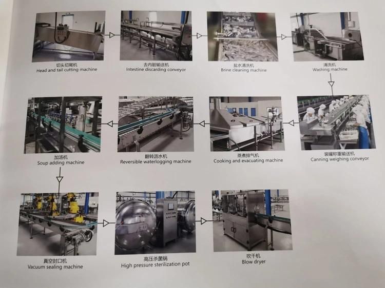 High Efficiency Sardines in Oil Processing Machine