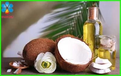 Ground Nut Coconut Oil Extraction Hammer Mill Machine Coconut Oil