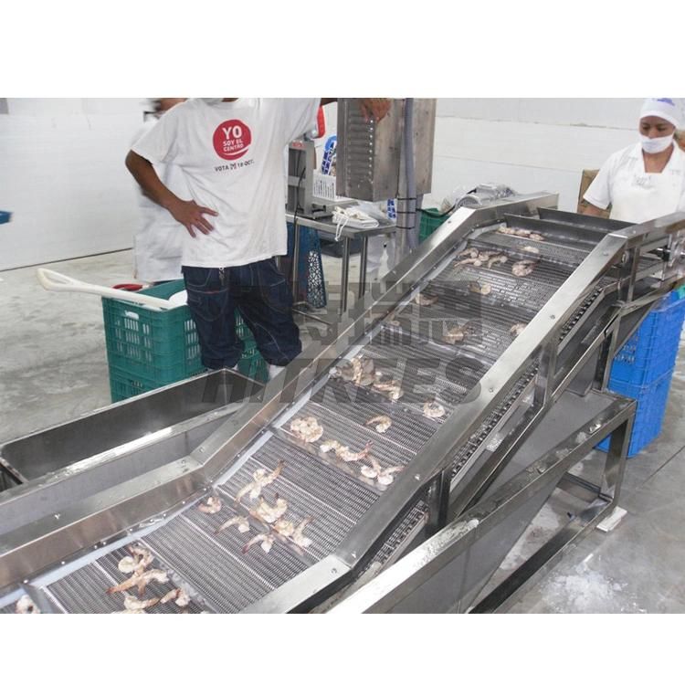 Commercial Fish Meat Ice Coating Equipment Seafood Glazing Machines Shrimp Fish Fillet Meatball Glazing Machine for IQF Production Line