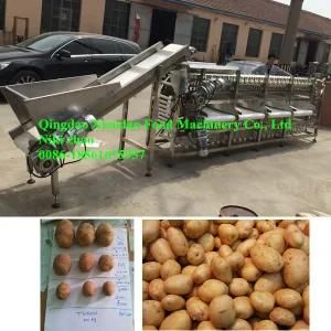 Automatic Potato Sorting/Grading Machine/Grading Size