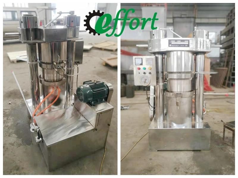 Low Price Grape Seeds Oil Press Machine Cold Oil Pressing Machine