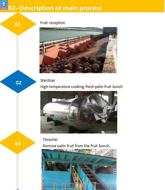 Palm Fruit Processing Equipment/Cpo/Palm Kernel Oil Equipment