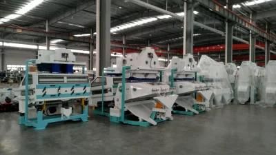 Clj High Quality Suction Destoner Machine Rice Milling Machine in Egypt