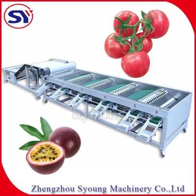 Small Capacity Tomato Sorting Machine Fruit Industrial Washing Machine