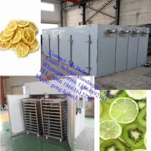 Hot Sale Shrimp and Fruit Dehydrator Drying Machine