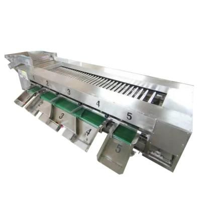 Hot Selling Fruit Sorting Machine Industrial Citrus Fruit Sorting Machine