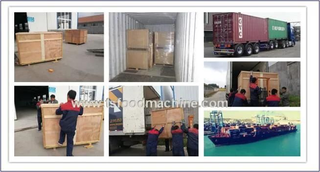 Continuous Snack Food Gas Frying Machine/Ce Fryer