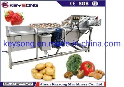 Industrial Food Washer Fresh Vegetable Fruits Cleaning/Washing Machinery