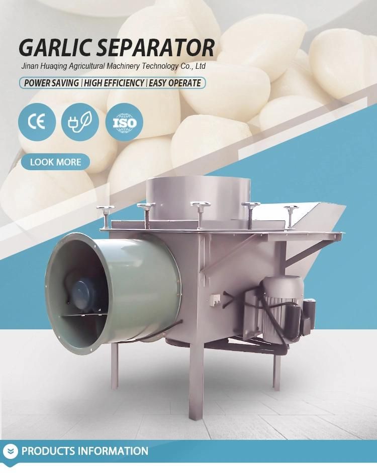 High Quality 1000kg/H Electric Garlic Bulb Separator Machine