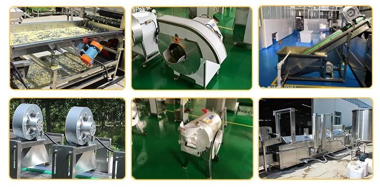 Hot Sale Stainless Steel Frozen French Fries Making Machine Frying Potato Chips Production Line