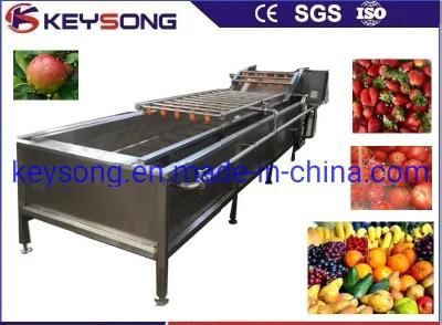 High Pressure Air Bubble Fruit Vegetable Washing Machinery