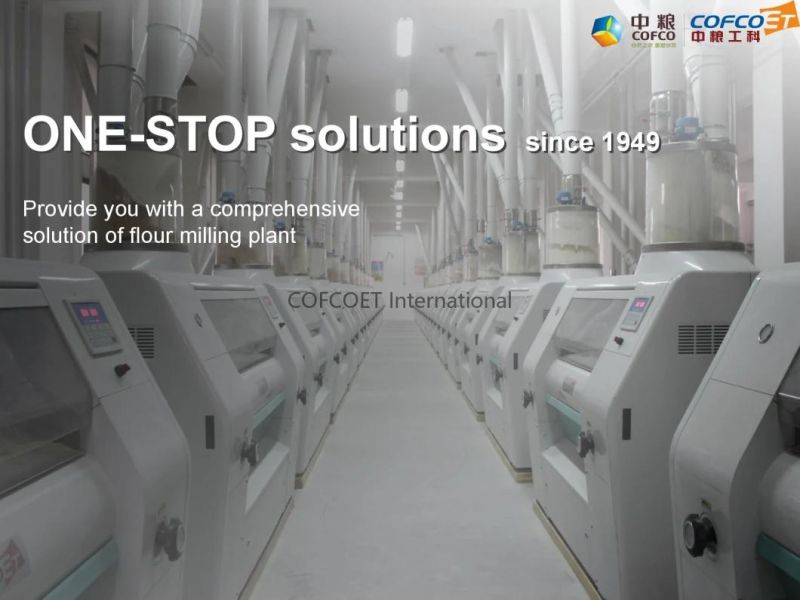 Global 500 Cofcoet Wheat Maize Rice Flour Complete Production Line