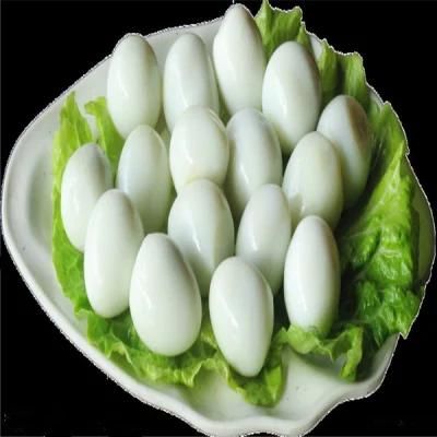 Best Quality Quail Egg Peeler Machine for Sale