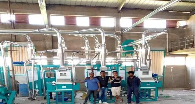 2021 50tonne Maize Flour Machinery Corn Flakes Grinding Facility