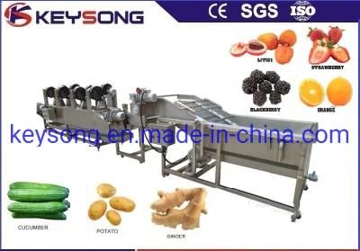 Customerized Food Processing Machinery Fruit &amp; Vegetable Washer