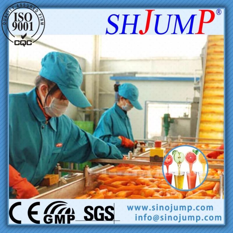 High Quality Apricot Pulp Processing Production Line