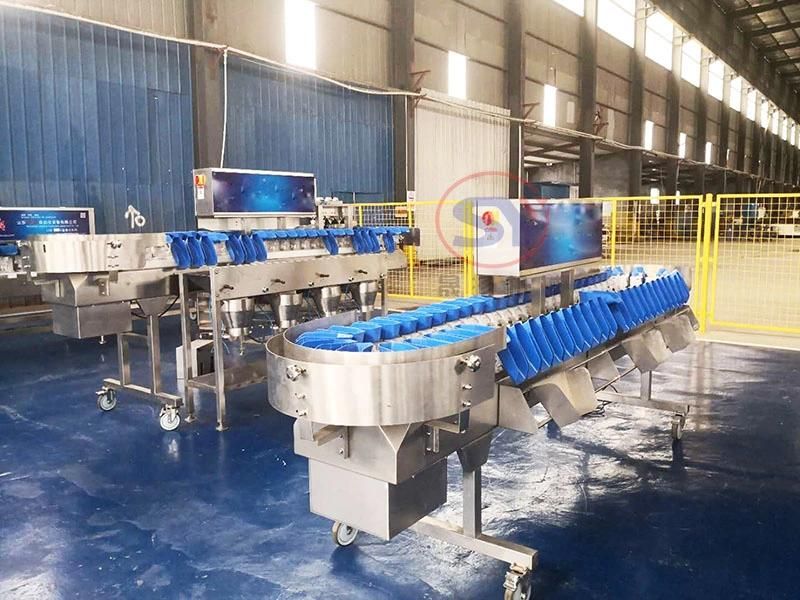 Food Poultry Prawn Weight Sorter Grading Machine with Touch Screen