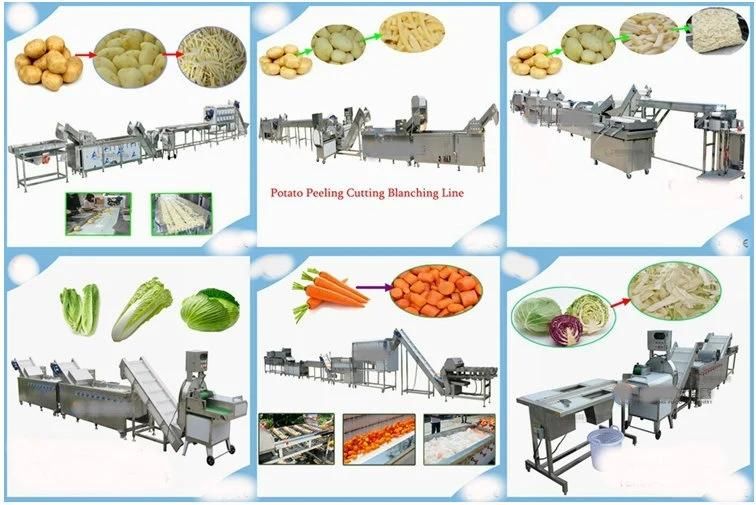 Potato French Fries Blanching Cooking Machine / Vegetable Blanching Machine