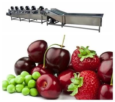 High Capacity Food Processing Machine Manufacturer Price