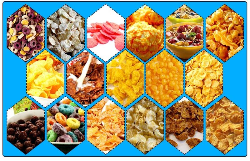 Popular and Industrial New Hot Fashion Extruder Corn Flake Making Machine
