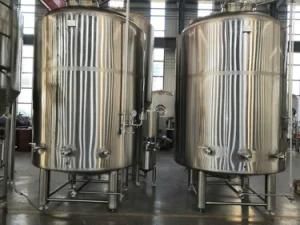 Tonsen Craft Beer Vertical or Horizontal Bright Beer Tank or Brite or Bbt