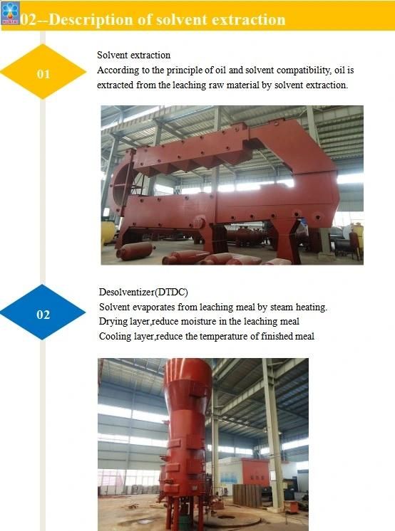 Patented Technology Rice Bran Oil Extraction Machine