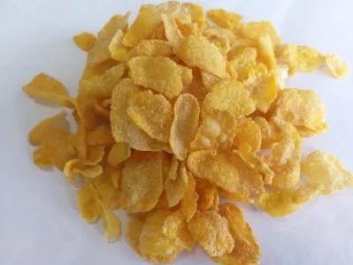 Extruded and Puffed Snack Making Machine