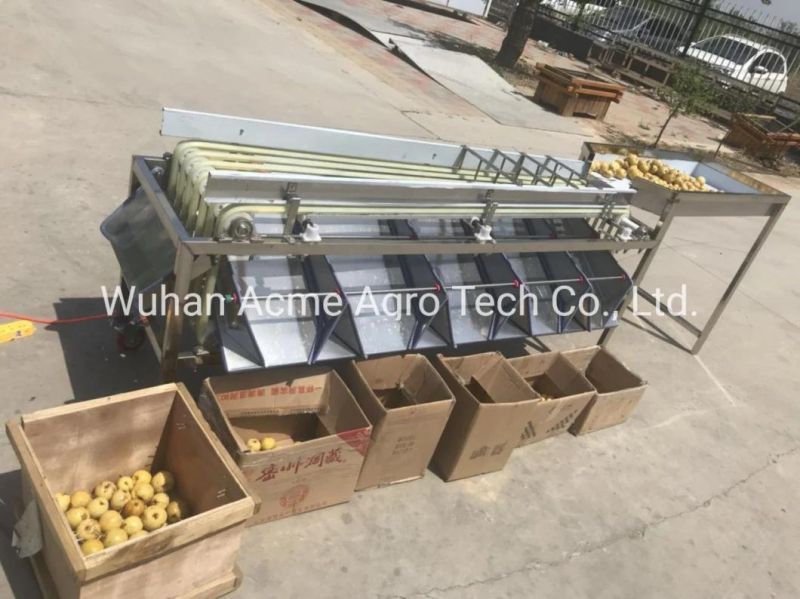 Automatic Dates Sorting Machine