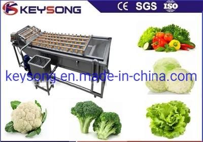 Low Noise Vegetable Fruit Washing Cleaning Machinery