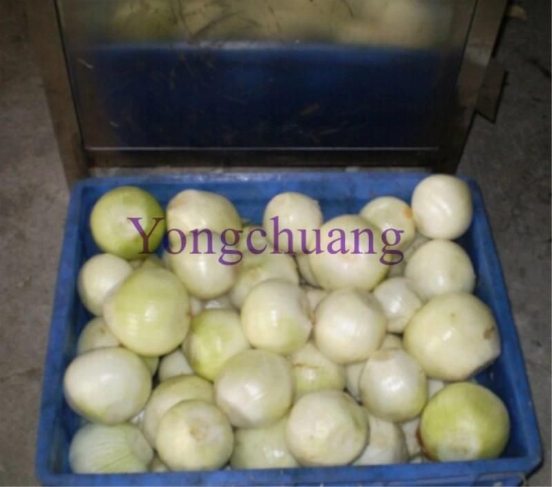 High Quality Onion Peeling Machine with Stainless Steel Material