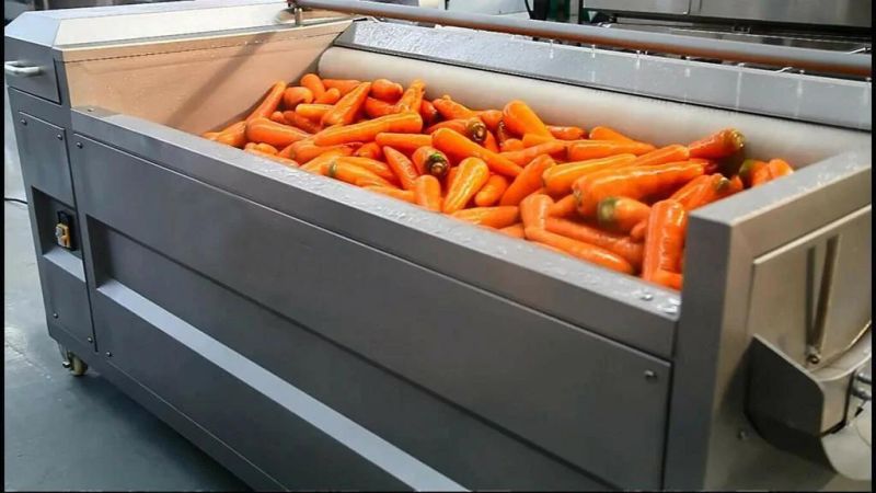 Vegetable Brush Washer Machines Parsnip Cleaning and Washing Machine