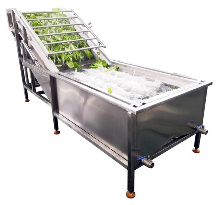 Fruit and Vegetable Basket Washing Machine Washer