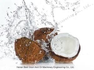 Coconut Virgin Nut Oil Cold Pressed Machine