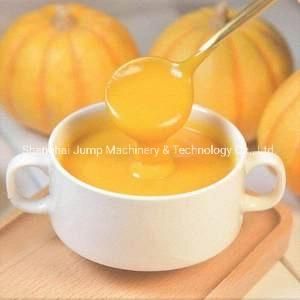 Fermented Pumpkin Juice Processing Machine Pouch Packed Filling Machines