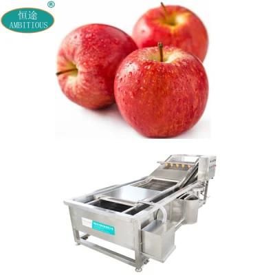 Automatic Fruit Vegetable Washer Machines Apple Washing Machine