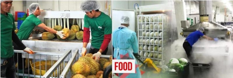Quick Frozen Durian Machine Frozen Durian Processing Line