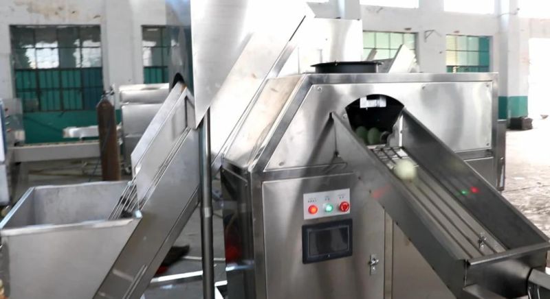 Factory Supply Automatic Onion Peeling and Root Cutting Machine