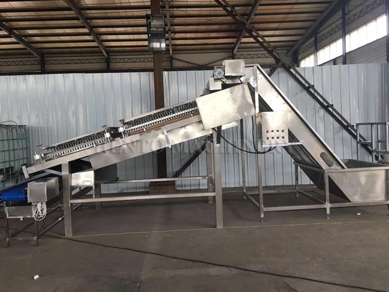 High Productivity Automatic Shrimp Deheader Sheller