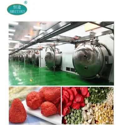 Batch Freeze Drying Machine High-Volume Continuous Processing Line