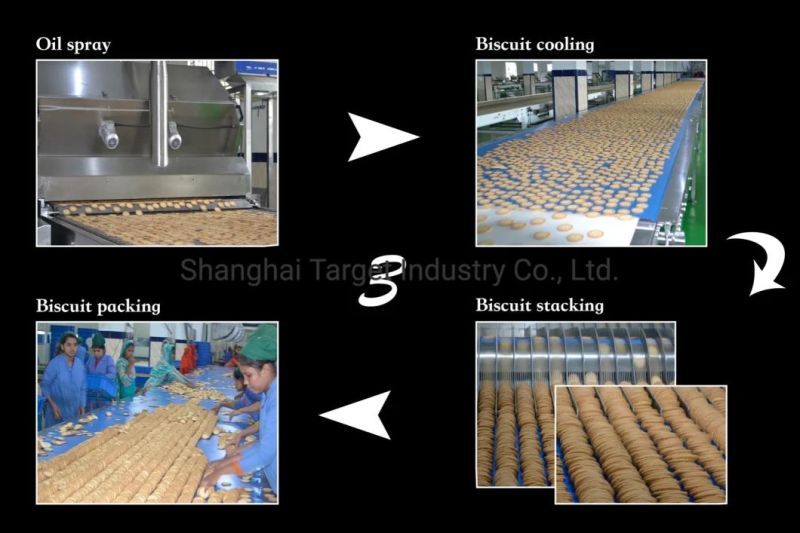Commercial and No. 1 Hard and Soft Biscuit Making Line in Manufacture Industry