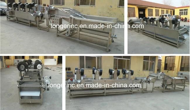 Best Quality Mushroom Vegetable Drying Machine Fruit Dryer