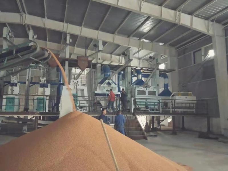 Clj Brand Sorghum Rice Process Professional Auto Rice Mill Machine in Egypt