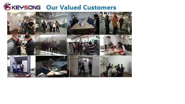 Full Automatic Italy Psata Macaroni Production Equipment