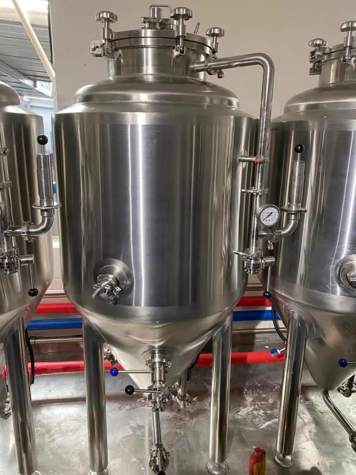 200L Small SUS304 Beer Fermenter Brewing Equipment for Brewpub Beer Bar