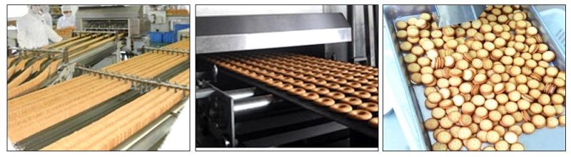 304 Stainless Steel Complete Biscuit Production Line for Walnut Cake Biscuits