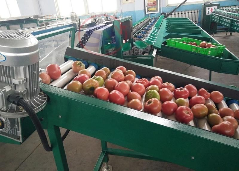 Large Capacity Potato/Tomato/Orange Sorting Grading Selecting Machine with Cheap Price