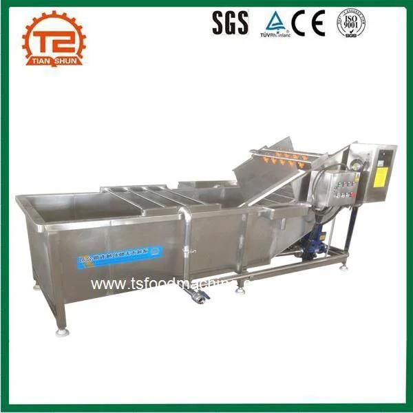 Commercial Ozone Vegetable and Fruit Washing Machine