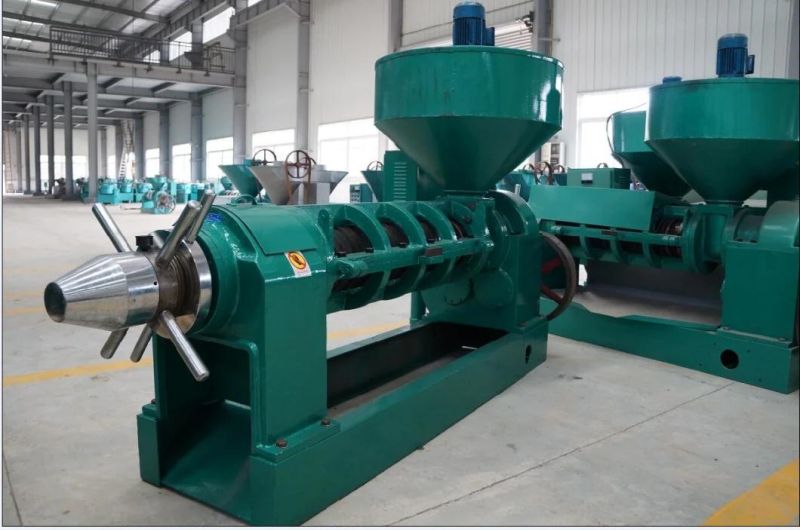 Screw Oil Press Machine Extract Oil Unflower Oil Seeds Vegetable Oil Machines Soybean Oil Plant